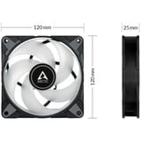 ARCTIC P12 PWM PST RGB 0dB Case per computer Ventilatore 12 cm Nero, Bianco 1 pz Nero/trasparente, Ventilatore, 12 cm, 2000 Giri/min, 48,8 pdc/min, 82,91 m³/h, Nero, Bianco
