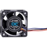 Alphacool 24823 sistema di raffreddamento per computer Universale Ventilatore 4 cm Nero 1 pz Nero, Ventilatore, 4 cm, 400 Giri/min, 10000 Giri/min, 36 dB, 20,39 m³/h