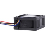 Alphacool 24823 sistema di raffreddamento per computer Universale Ventilatore 4 cm Nero 1 pz Nero, Ventilatore, 4 cm, 400 Giri/min, 10000 Giri/min, 36 dB, 20,39 m³/h