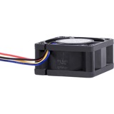 Alphacool 24823 sistema di raffreddamento per computer Universale Ventilatore 4 cm Nero 1 pz Nero, Ventilatore, 4 cm, 400 Giri/min, 10000 Giri/min, 36 dB, 20,39 m³/h