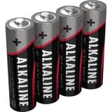 Ansmann Batterie alcaline non ricaricabili, Batteria Batteria monouso, Alcalino, Nero, Grigio, 14,5 mm, 14,5 mm, 50,5 mm