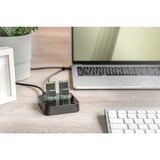 Digitus Docking station doppia M.2 NVM SSD Nero