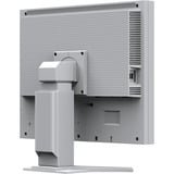 EIZO FlexScan S2134 grigio