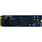 Kingston DC2000B 960 GB 