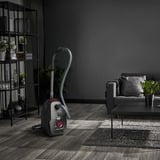 Rowenta RO4933, Aspirapolvere Nero