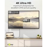 goobay Cavo adattatore USB, connettore USB-C > connettore DisplayPort, 4K 60Hz Nero/Argento