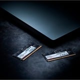 ADATA AD5S560032G-S, Memoria Nero