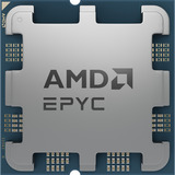 AMD 100-000001558, Processore Vassoio