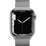 Apple Smartwatch argento/Argento