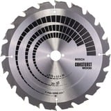 Bosch 2 608 640 691 lama circolare 31,5 cm 1 pezzo(i), Lama per sega Legno per costruzione, 31,5 cm, 3 cm, 2,2 mm, 3,2 mm, 7/42