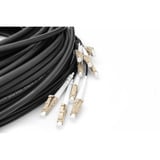 Digitus Cavo breakout universale in fibra ottica, duplex, connettore LC/UPC, multimodo OM4 Nero
