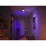 Philips Hue 929003808401, Luce LED Nero