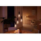 Philips Hue Lampadina a filamento White Ambiance E27 Giant Edison ST72 550 lm, Lampada a LED 