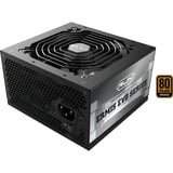 RAIJINTEK 0R30B00009, Alimentatore PC Nero