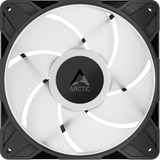 ARCTIC ACFAN00320A Nero