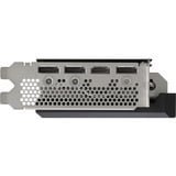 ASRock 90-GA4KZZ-00UANF, Scheda grafica 