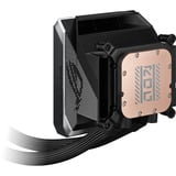 ASUS 90RC01M1-B0EAY0, Raffreddamento ad acqua Nero