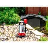 EINHELL Pompa per acque sporche GC-DP 6315 N, Pompe immersione e pressione rosso/in acciaio inox