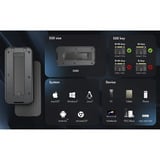 ICY BOX Custodia SSD M.2 NVMe IB-1980M-80G, Disk enclosure Nero