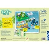 KOSMOS 632083 giocattolo e kit di scienza per bambini, Casella di esperimento Kit per esperimenti, Botanica, 5 anno/i, Multicolore