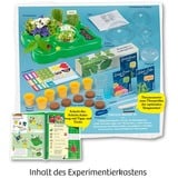 KOSMOS 632083 giocattolo e kit di scienza per bambini, Casella di esperimento Kit per esperimenti, Botanica, 5 anno/i, Multicolore