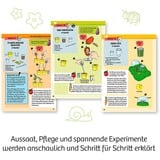 KOSMOS 632083 giocattolo e kit di scienza per bambini, Casella di esperimento Kit per esperimenti, Botanica, 5 anno/i, Multicolore