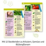KOSMOS 632083 giocattolo e kit di scienza per bambini, Casella di esperimento Kit per esperimenti, Botanica, 5 anno/i, Multicolore