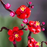 LEGO Botanicals Prugno giapponese, Giochi di costruzione Set da costruzione, 18 anno/i, Plastica, 327 pz, 363 g