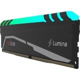 Mushkin Redline memoria 32 GB 2 x 16 GB DDR4 3600 MHz Nero, 32 GB, 2 x 16 GB, DDR4, 3600 MHz, 288-pin DIMM