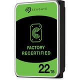 Seagate Exos 22 TB Ricondizionato, Hard-disk 