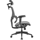 Sharkoon OfficePal C30M, Sedia grigio