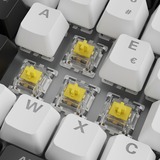 Sharkoon SKILLER SGK50 S3, Tastiera da gioco bianco