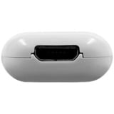 Shelly La pillola, Modulo di estensione bianco