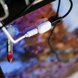 Shelly La pillola, Modulo di estensione bianco