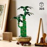 LEGO Botanicals 10344 Bambù del Buon Auspicio, Pianta Artificiale da Arredamento con Vaso Finto, Regalo Donna, Uomo e Adulti, Giochi di costruzione Pianta Artificiale da Arredamento con Vaso Finto, Regalo Donna, Uomo e Adulti, Set da costruzione, 18 anno/i, Plastica, 325 pz, 379 g