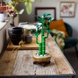 LEGO Botanicals 10344 Bambù del Buon Auspicio, Pianta Artificiale da Arredamento con Vaso Finto, Regalo Donna, Uomo e Adulti, Giochi di costruzione Pianta Artificiale da Arredamento con Vaso Finto, Regalo Donna, Uomo e Adulti, Set da costruzione, 18 anno/i, Plastica, 325 pz, 379 g