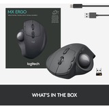 Logitech MX Ergo mouse Mano destra RF senza fili + Bluetooth Trackball 440 DPI Nero, Mano destra, Trackball, RF senza fili + Bluetooth, 440 DPI, Grafite