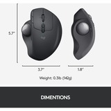 Logitech MX Ergo mouse Mano destra RF senza fili + Bluetooth Trackball 440 DPI Nero, Mano destra, Trackball, RF senza fili + Bluetooth, 440 DPI, Grafite