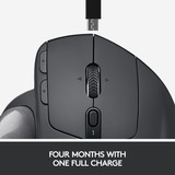 Logitech MX Ergo mouse Mano destra RF senza fili + Bluetooth Trackball 440 DPI Nero, Mano destra, Trackball, RF senza fili + Bluetooth, 440 DPI, Grafite