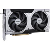 MSI V535-005R, Scheda grafica 
