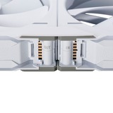 Phanteks PH-F140D30_DRGB_PWM_WT01_3P, Ventola bianco