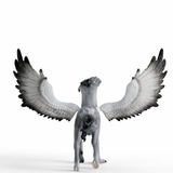 Schleich 13988, Gioco figura 
