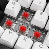 Sharkoon SKILLER SGK50 S3, Tastiera da gioco bianco