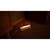 Shelly Pacchetto natalizio 1, set 