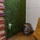 Shelly Pacchetto natalizio 1, set 