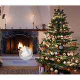 Shelly Pacchetto natalizio 1, set 