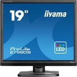 iiyama E1980S-B1, Monitor LED Nero (opaco)