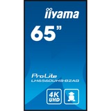 iiyama LH6560UHS-B2AG, Public Display Nero (opaco)