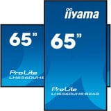 iiyama LH6560UHS-B2AG, Public Display Nero (opaco)