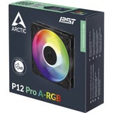 ARCTIC Freezer P12 Pro A-RGB Case per computer Ventilatore 12 cm Nero, Bianco 1 pz, Ventola Nero, Ventilatore, 12 cm, 131 m³/h, Nero, Bianco